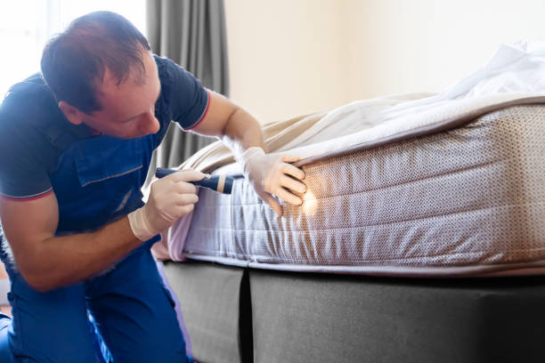 Best Bed Bug Extermination  in Atchison, KS